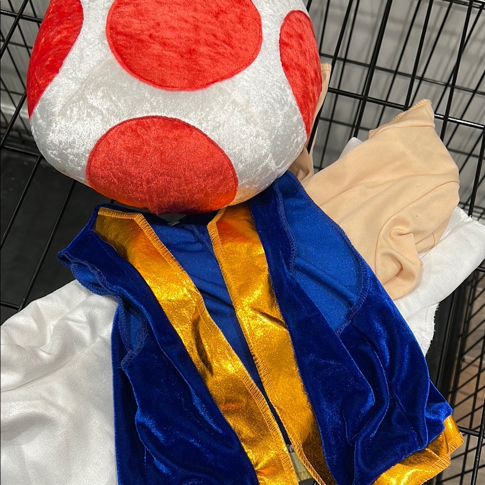 Kids Toad Costume from Super Mario Bros - Picture 2 of 2